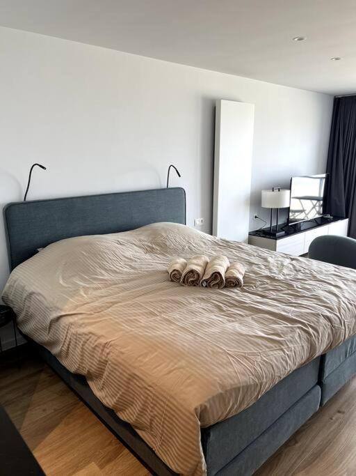 Suite 16 Blankenberge Luaran gambar